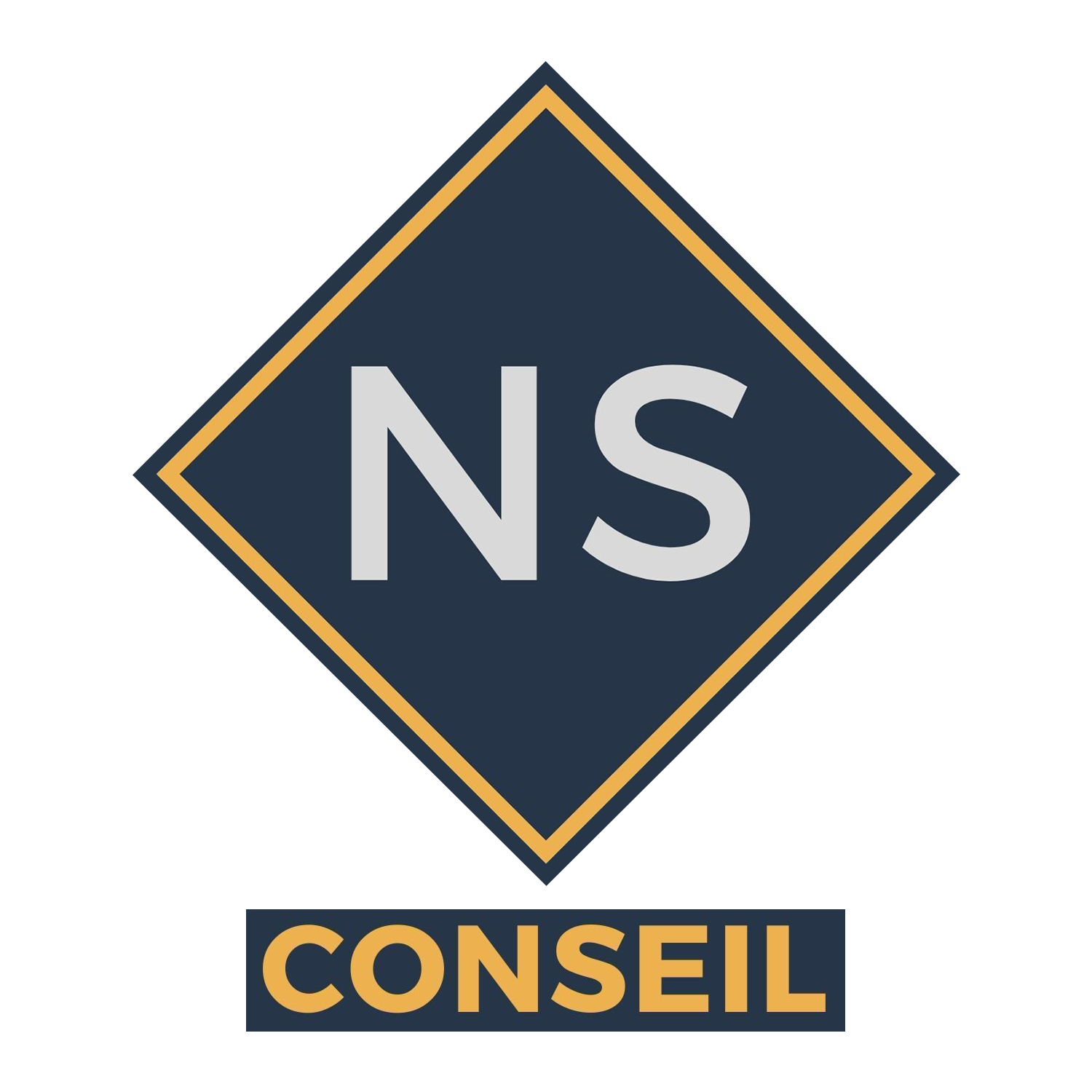NS Conseil